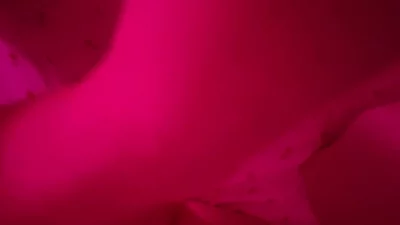 哈尔滨江北学妹骚话可射