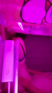 武汉良家学妹超骚简历可约